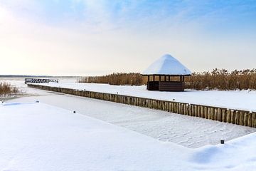 Winter on shore of a lake