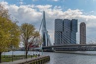 Lente in Rotterdam van Teun Ruijters thumbnail