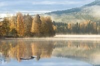Autumn colours at a Swedish lake