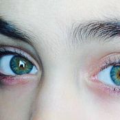 Bihishta Forozan Profile picture