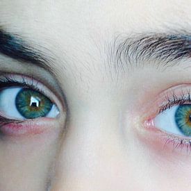 Bihishta Forozan Profile picture