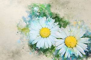 Marguerites sur Sharon Harthoorn