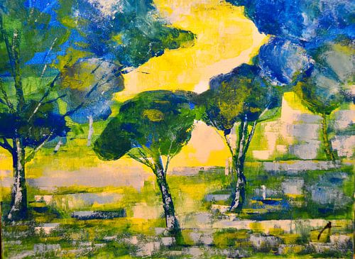 Les pins dans le sud de la France