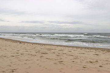 Strand op Texel van Monique Giling