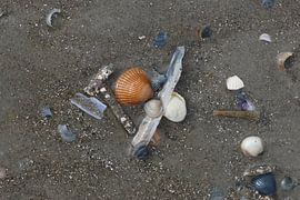 Muscheln am Strand von Matthias Brix