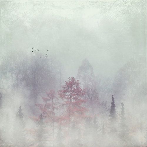 Vernebelter Wald mit Vogelschwarm von Dirk Wüstenhagen