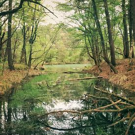 Der blaue See in Drenthe von Laura van Grinsven