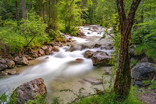 Zauberwald Bayern von Patrick van Lion