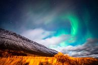 Grün-purpurne Nordlichter bei Mondschein in Island von John Ozguc Miniaturansicht