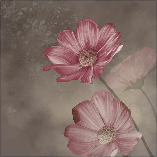 Cosmos ottoman