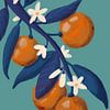 Citrusvruchten en bloesem van Yvette Baur