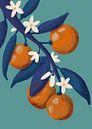 Zitrusfrüchte und -blüten von Yvette Baur Miniaturansicht