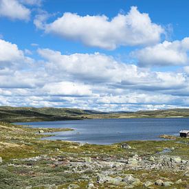 Norway by Annette Sturm