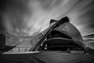 City of Arts and Sciences (Valencia)  von Bert Meijer