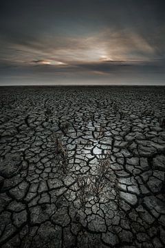 Der Abend bricht über das Wattenmeer herein