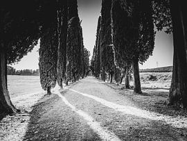 Weg naar de Villa in Italië