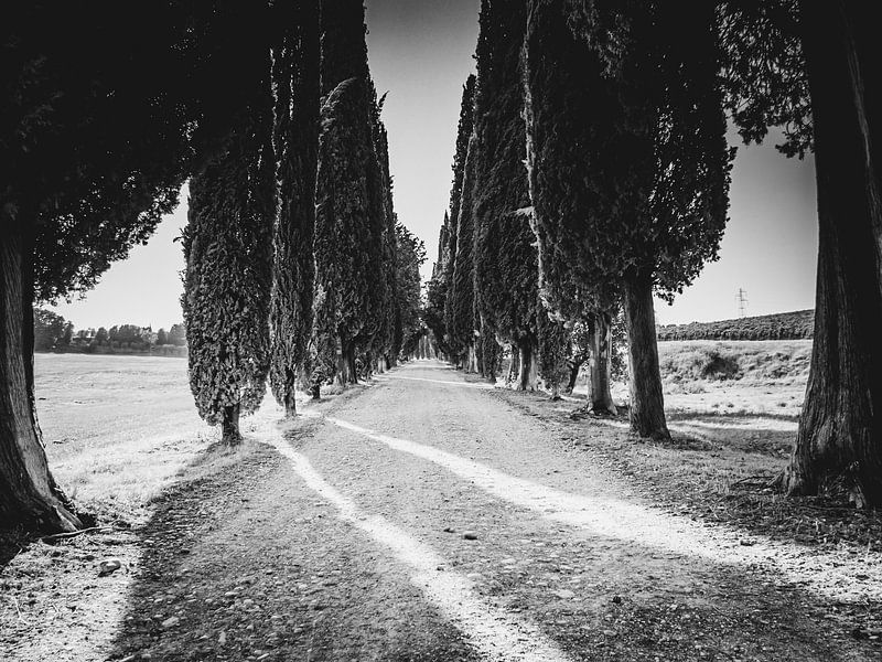 Weg zum Villa in Italien von Mustafa Kurnaz