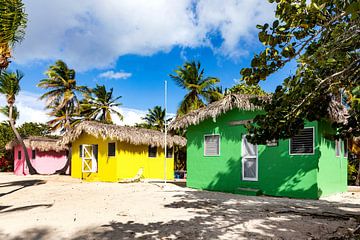 Catalina Island in the Caribbean by AidasignArt
