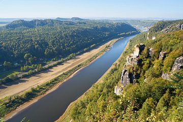 Blick auf den Fluss Elbe im Elbsandsteingebirge