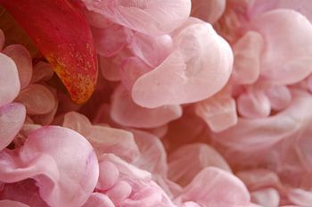 Binnenlandslandschap nr. 2