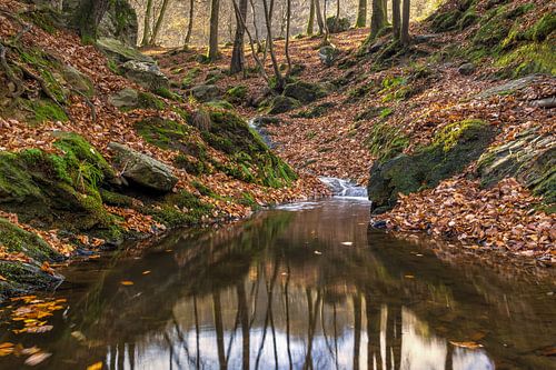 rust in het bos van de ninglinspo