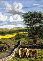 Engels landschap. Yorkshire dales