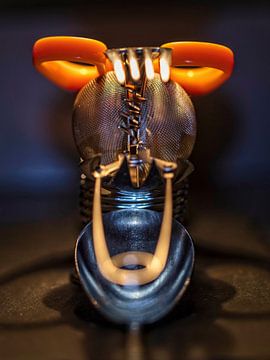 Alien Insect van Rob Boon