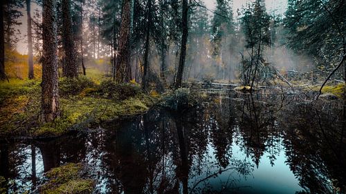 A view of the amazing and idyllic Norwegian landscape. Autumn image of mountains. by Peter Jacek