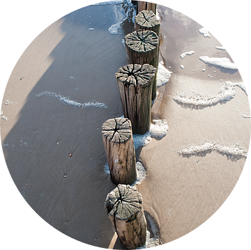 Paalhoofden bij Schoorl aan Zee van Rob Donders Beeldende kunst