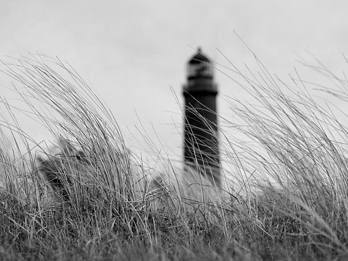 Leuchtturm Darßer Ort schwarz-weiß