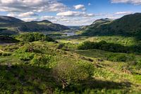 Ladies View (Co. Kerry, Ireland)