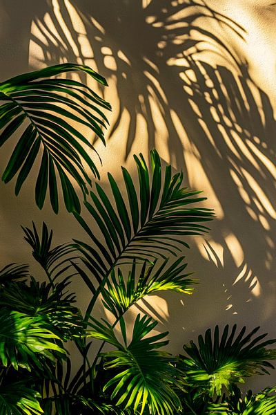Tropical plants and shadow art by Poster Art Shop