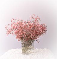Romantic Pink Baby's breath still life