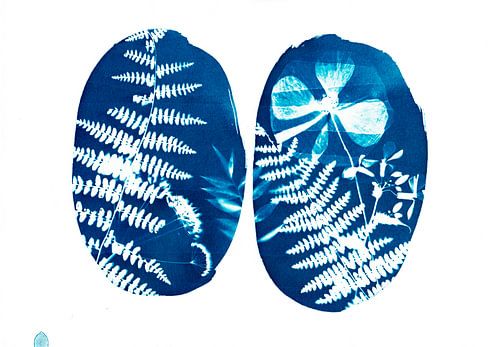 Blauw Ademwerk