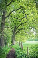green environment