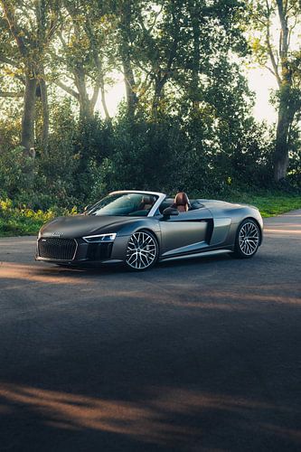 Audi R8 V10 in een Adembenemend Groene Landschap tijdens de Zonsondergang