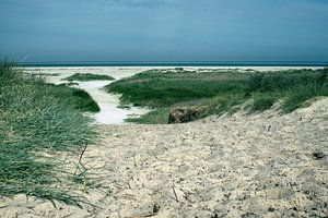 Dünen und Nordseestrand auf Schiermonnikoog – Stille am Meer