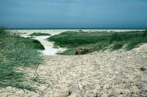 Dunes and North Sea beach on Schiermonnikoog – tranquillity by the sea