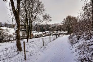 Beertsenhoven