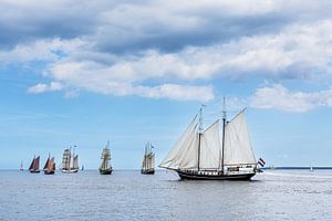 Segelschiffe auf der Ostsee während der Hanse Sail in Rostock