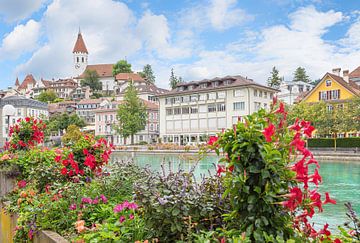 beautiful flower decoration at Aare riverside, old town Thun, la by SusaZoom