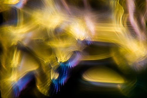 Blauw en Gele Hersengolven