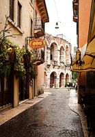Arena van Verona