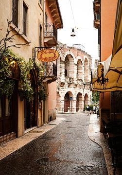 Arena van Verona van swc07