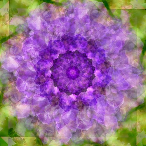Bloem des Levens