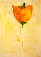 Gelbe Mohnblume
