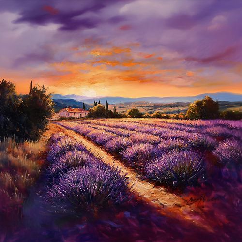 Lavender field