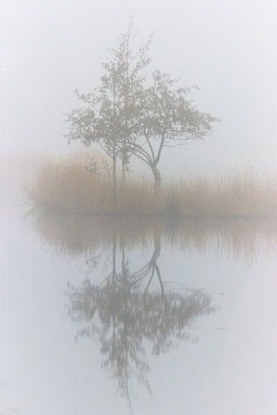 Monique Visser brave little tree by Monique Visser