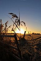 zonsopkomst