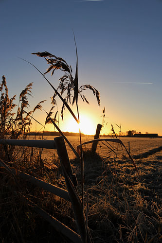 zonsopkomst